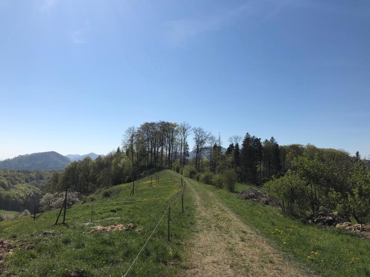 Gastezimmer Erlinsbach Bei Aarau, Zwischen Aare Und Jura Niedererlinsbach Exterior photo