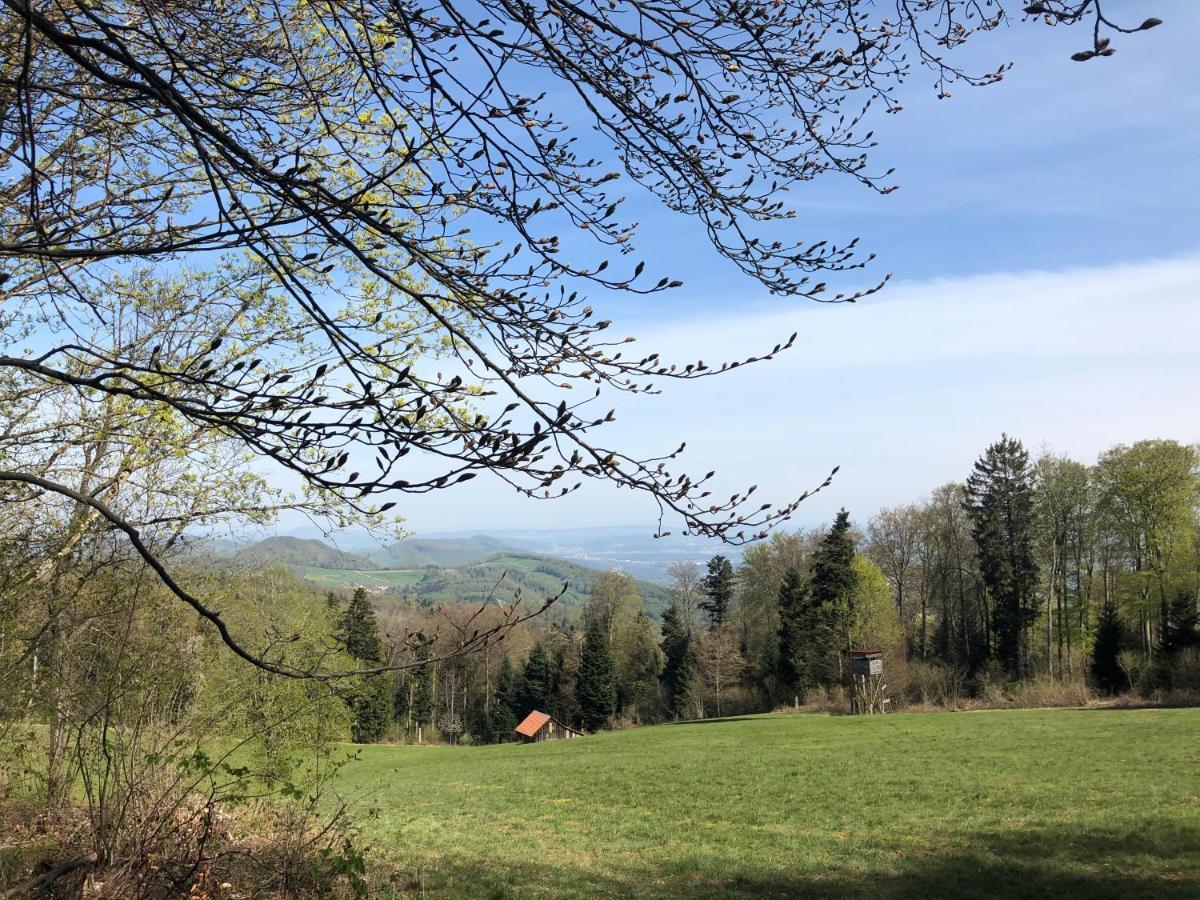 Gastezimmer Erlinsbach Bei Aarau, Zwischen Aare Und Jura Niedererlinsbach Exterior photo